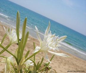 Гостиница Villa Fiori Beach  Менфи